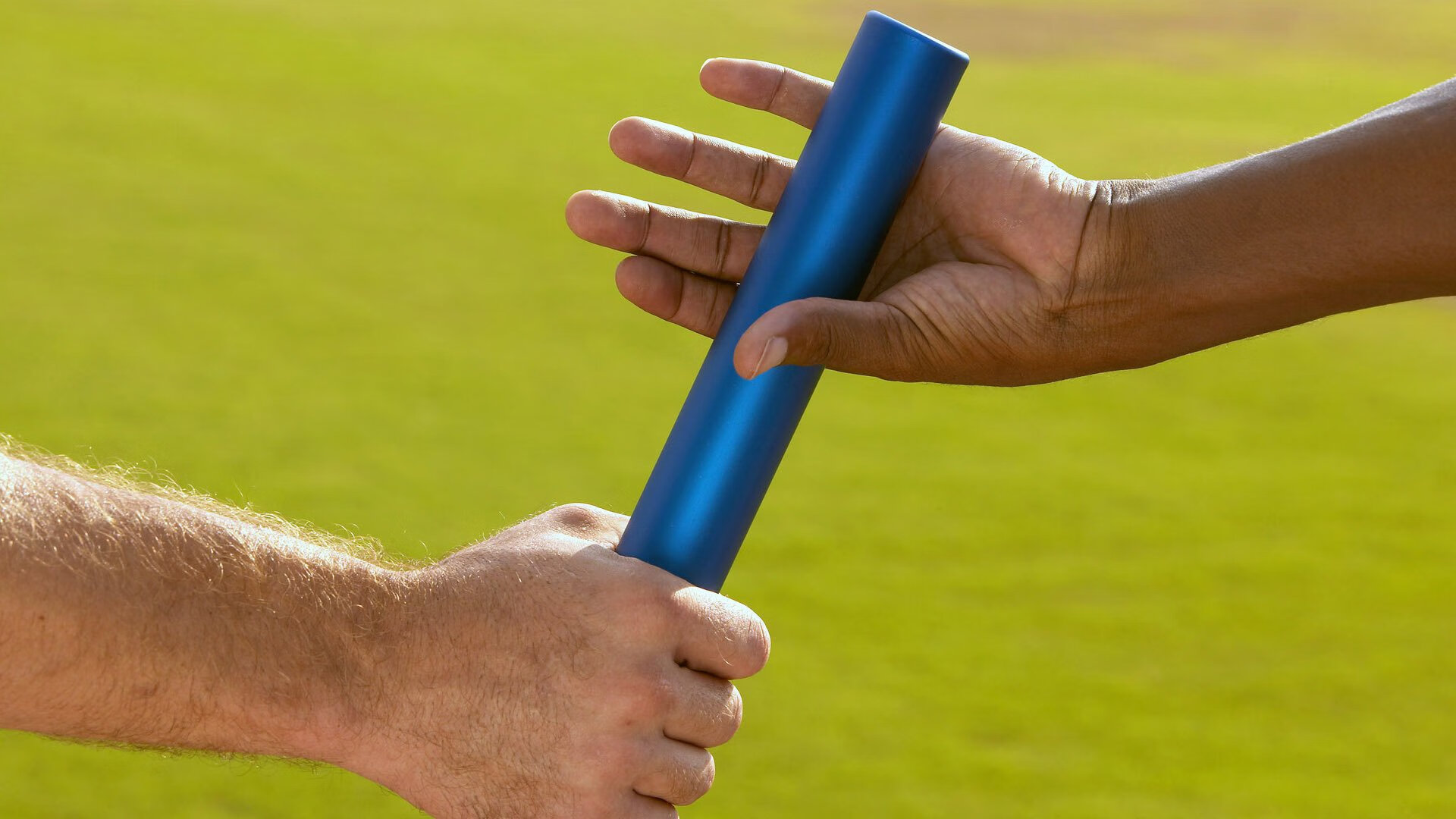 中小学体育教师职业认同感影响因素分析，中小学体育教师的胜任特征